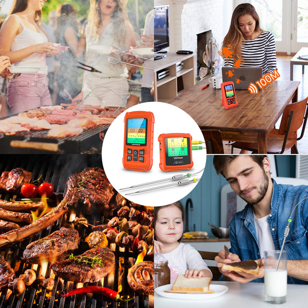 Wireless Meat Thermometer with 2 Probes & LCD Display